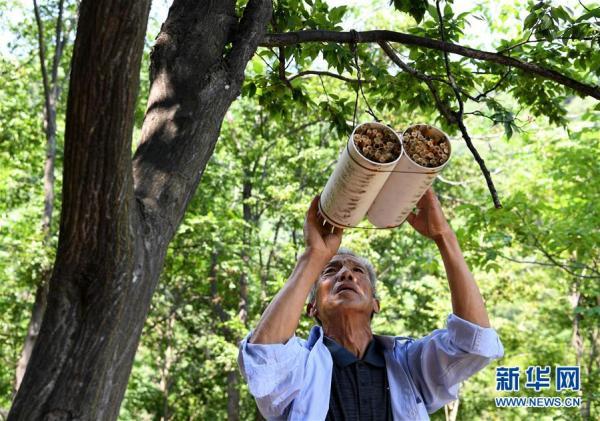 济源45岁至55岁招工，中年人才的市场潜力与机遇