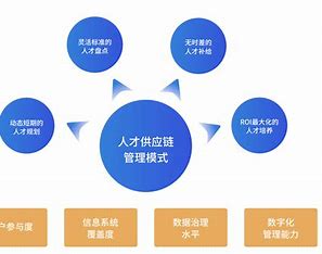 集团人才招聘网，构建高效人才供应链的数字化平台